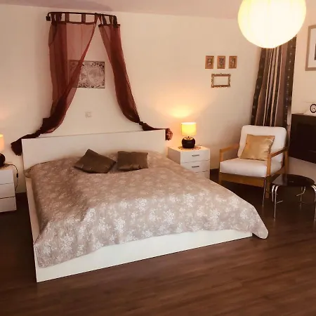 Du De Coo * 스타블로