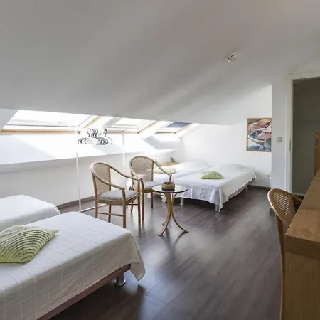 Du De Coo 스타블로